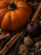Pumpkin Bakehouse Soy Wax Melts